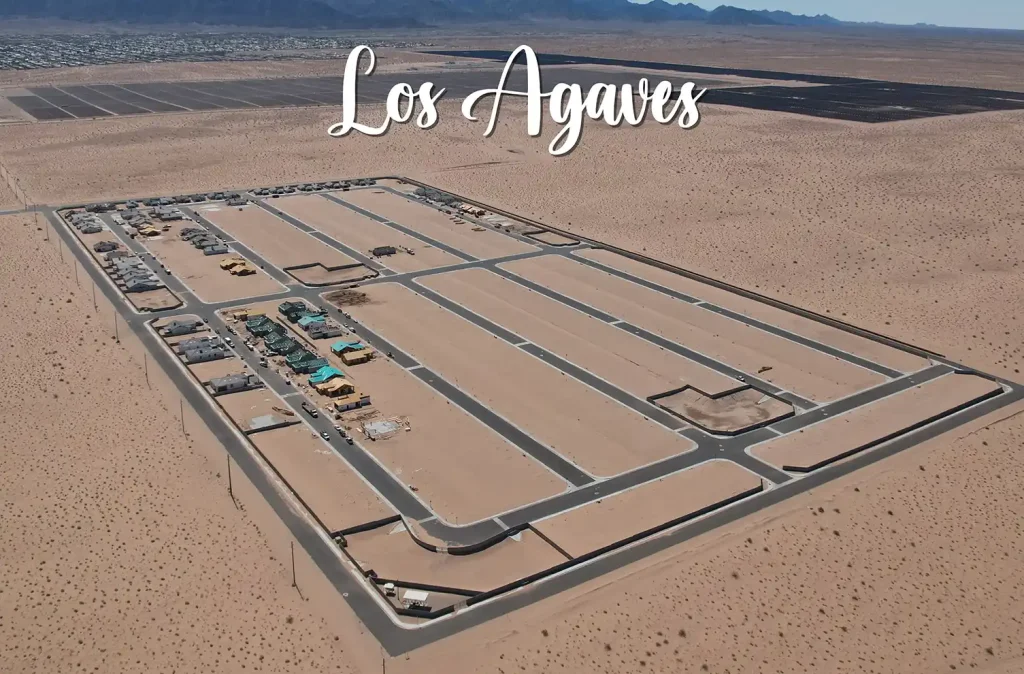 Los Agaves